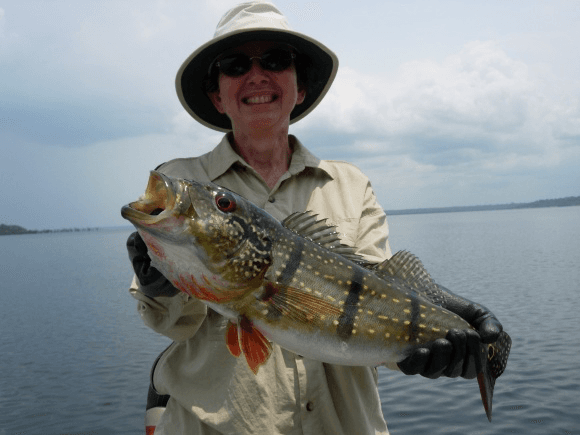 Amazon Lord I topwater fishing action and strikes