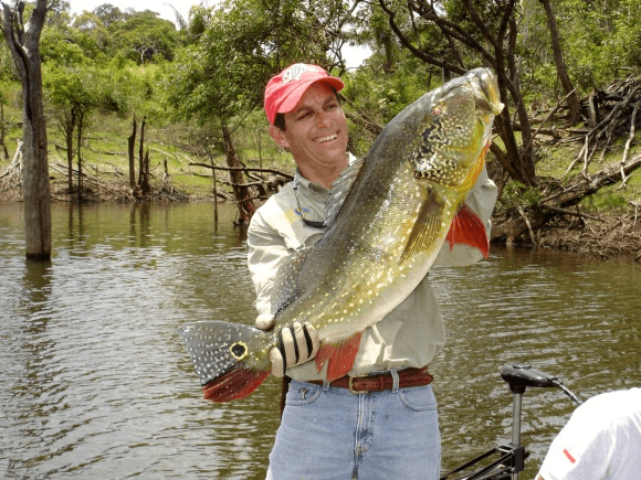 Amazon Lord I fishing experience - Peacock Bass fishing in blackwater tributaries
