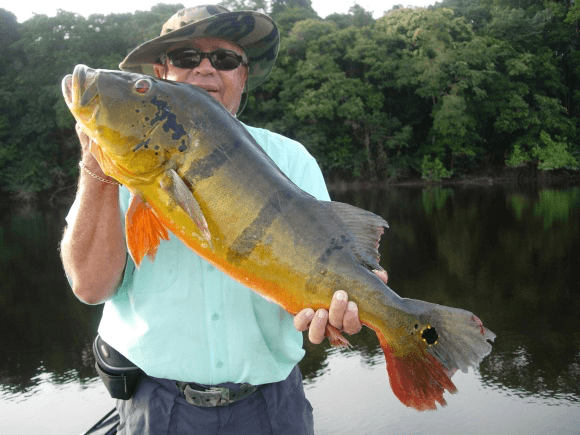 Amazon Lord II group celebrating trophy Peacock Bass