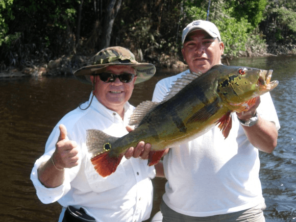 Amazon Lord III anglers with hard-hitting Peacock Bass