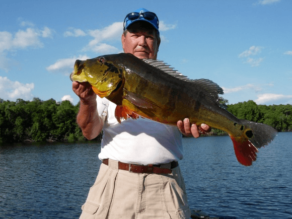 Amazon Lord III custom fishing boats in jungle rivers