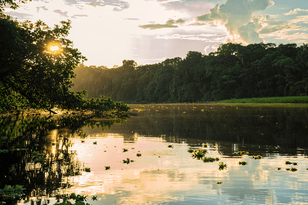 Beautiful Brazil Amazon landscape