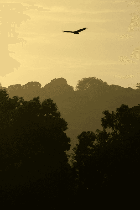 Beautiful landscape of Brazil showing vibrant culture and natural beauty