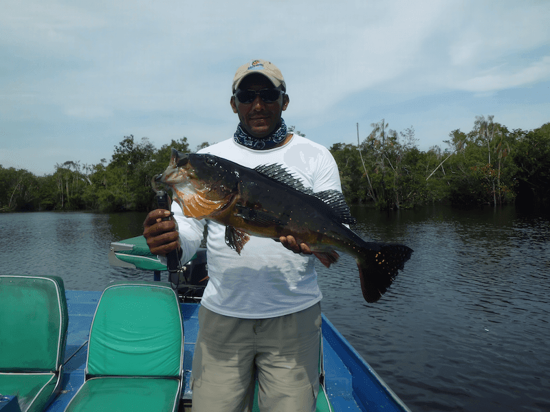 Document submission process for Amazon fishing adventure