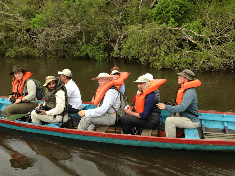 Guided rainforest walks through Amazon jungle trails