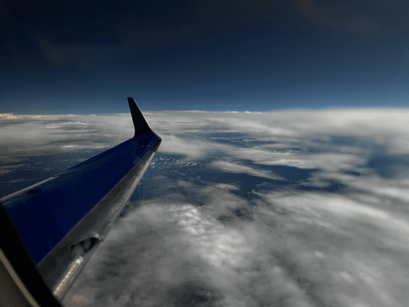 Departure and international flight to Manaus, Brazil