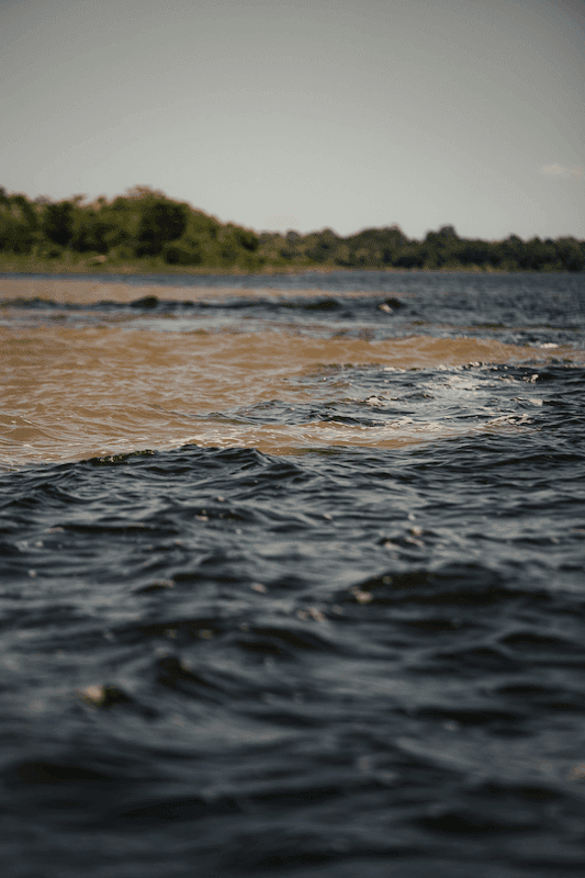 Meeting of the Waters where Rio Negro and Rio Solimões converge