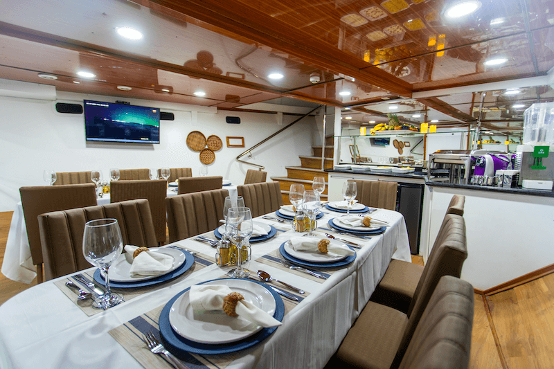 Professional guided fishing and exploration