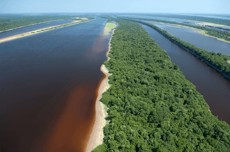 Rio Negro blackwater river and its pristine fishing waters