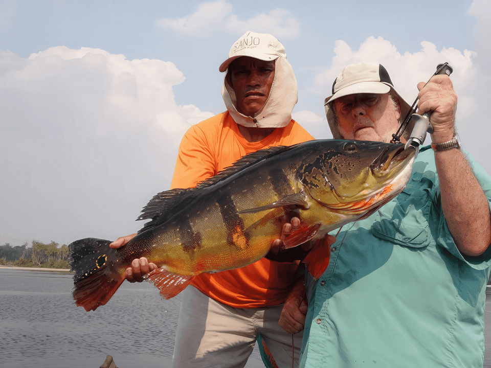 Amazon Peacock Bass fishing and expedition video gallery
